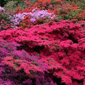 Bilder des Tages