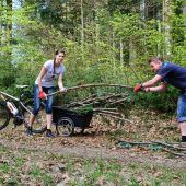 Brennholz direkt aus dem Wald vor der Haustür
