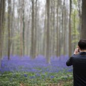 Bilder des Tages