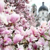 Bilder des Tages