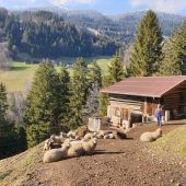 Eine trügerische Idylle