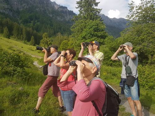 Die Umwelt im Blick behalten. Stadt Bludenz