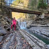 Waldspaziergang mit Höhen und Tiefen