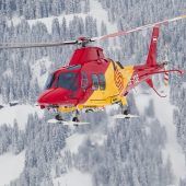 Tödlicher Arbeitsunfall im Holz