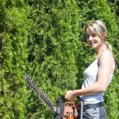 Streit am Gartenzaun