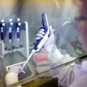 Weitere Hepatitis-Fälle gemeldet