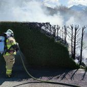 Hecke in Flammen