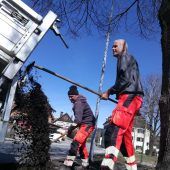 Frischzellenkur