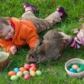 Warum der Osterhase bunte Eier bringt