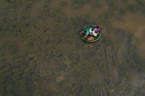 In einem kleinen, kreisrunden Boot werfen Fischer außerhalb der indischen Metropole Bangalore ihr Netz aus. AFP