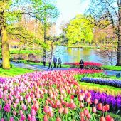 Bunte Blumenpracht im Keukenhof
