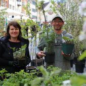 Karfreitag und der Obstbaum
