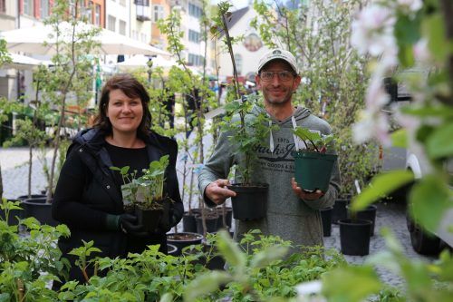 Madlen Danek und Mario Pavlovic boten ihren Kunden nicht nur eine große Auswahl an Obstbäumen, sondern auch eine Menge hilfreicher Tipps und Tricks. Hagen