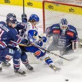 Fehervar steht im Finale, Salzburg ist neuer Meister