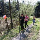 Über Stock und Stein durch den Göfner Wald