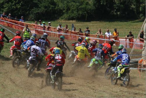 Die Motocross-Elite ist am Wochenende am Montikel zu Gast. L. Kobel