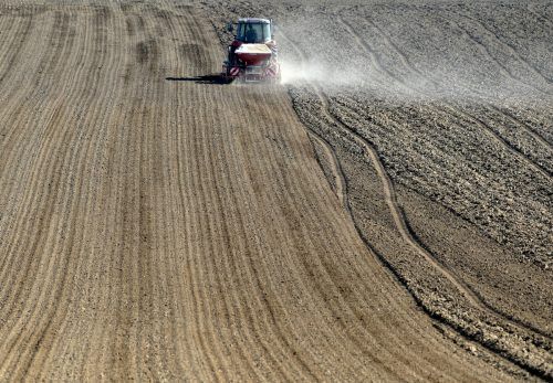 Österreichs Landwirte erlebten in diesem Jahr bereits eine Dürre.  APA