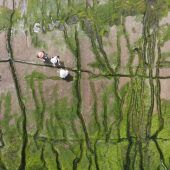 Bilder des Tages