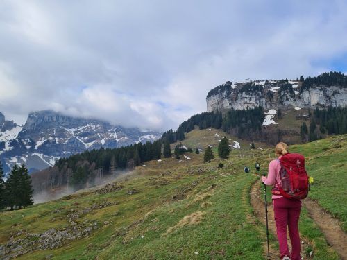 Dort hinauf auf das Plateau müssen wir noch.