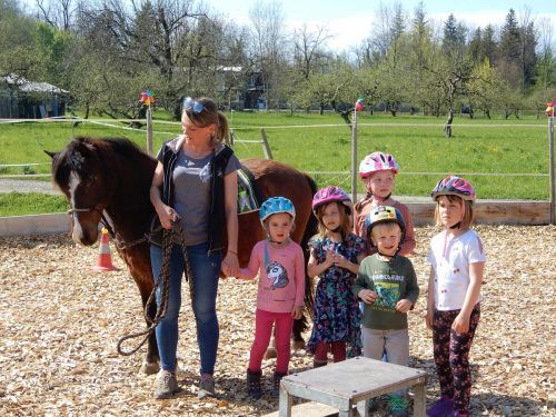 Viele Kinder nahmen die Möglichkeit in Anspruch, einmal auf einem Pony oder Pferd reiten zu dürfen. cth (6)