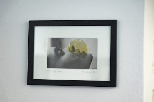 Den Grafiker und Designer kann und braucht der in Vorarlberg tätige Künstler Marco Spitzar nicht zu verleugnen. VN/Paulitsch
