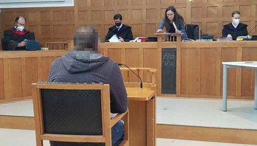 Der Angeklagte musste sich am Landesgericht verantworten. eckert