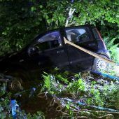 82-jähriger Unfalllenker von seinen Söhnen gefunden