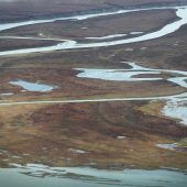 Erderwärmung bedroht sibirische Tundra