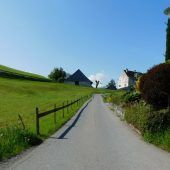 Daliebis-Straße wird auf Vordermann gebracht