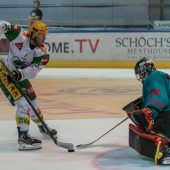 D‘Alvise hat beim EHC verlängert
