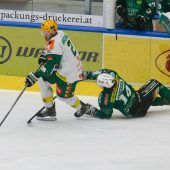 Reihs und Hrdina bleiben dem EHC erhalten