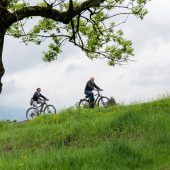 Ried für Fahrradfahrer