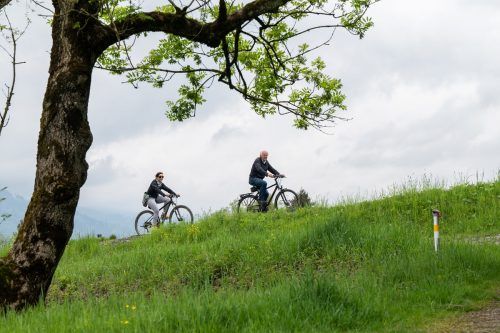 50 Prozent geringer ist das Risiko, an Herz-Kreislauf-Störungen zu erkranken, wenn man täglich eine halbe Stunde Fahrrad fährt, sagt die Weltgesundheitsorganisation (WHO).
