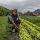 Hagelschlag richtete auch bei Landwirt Jürgen Meusburger Schaden an. »A10