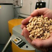 Auch Holzpellets sind teurer