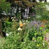 Wie man aus dem Garten eine Oase der Biodiversität schaffen kann
