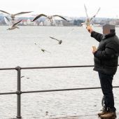 Das Problem mit dem „Seebrünzler“