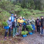 Bergwaldprojekt: Mehrere 100 Bäume gepflanzt und gepflegt
