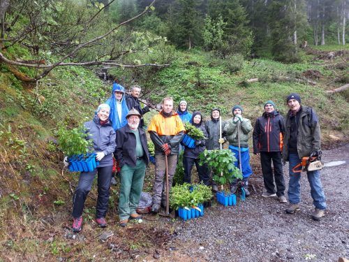 Neun Freiwillige halfen beim Bergwaldprojekt im Großen Walsertal mit. Nicola Block