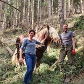 Pferdestärke im Forstbetrieb