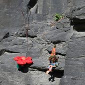 Kleines Wesen in einer Felswand entdeckt