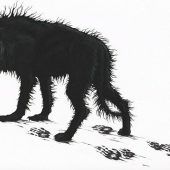 Ist der Klushund Opfer des Klimawandels?