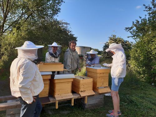 Am Sonntag lädt der Bienenzuchtverein Feldkirch zur großen Jubiläumsfeier mit einem bunten Programm rund um die Biene.  