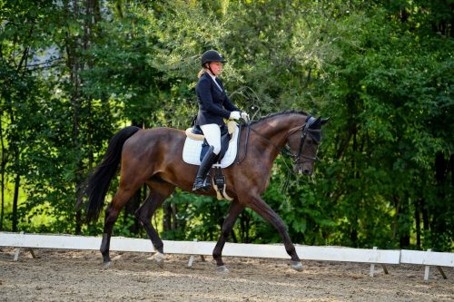 Annika Schratter aus Weiler gewann erst vor Kurzem den Titel der Landesmeisterin in der Disziplin Dressur Junioren.  Privat