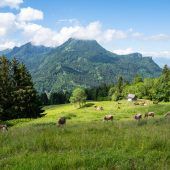 Vorhang auf für den Alpsommer