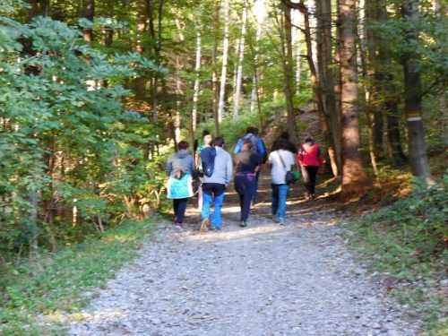 Bei einem Spaziergang wird das Nutzungskonzept für den Kumma präsentiert.  MIMA