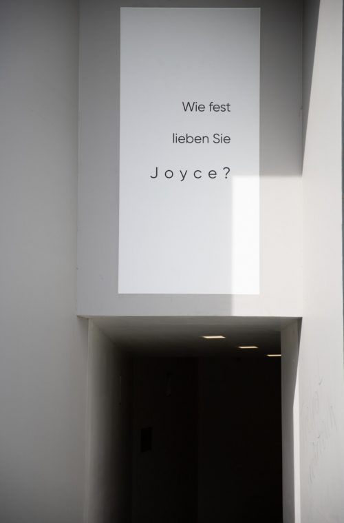 Beim Gang durch die James-Joyce-Passage können Fragen beantwortet werden.  F. Kühn