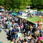 Allerlei Schnäppchen beim großen Flohmarkt