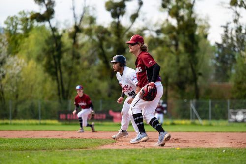 Die Bulls lagen bei Redaktionsschluss bei den Cardinals mit 15:6 vorne. VN/Serra