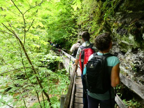 Die Teilnehmenden genießen die Exkursion in die Bürser Schlucht. Stadt Bludenz